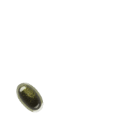 256