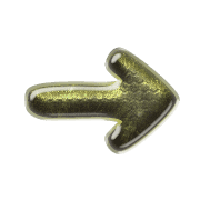 262