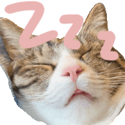 022