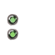 244