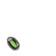 256