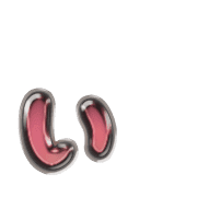048