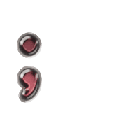 243
