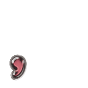 245