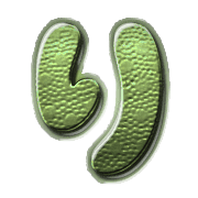 040