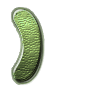 235