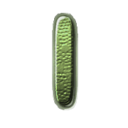 242