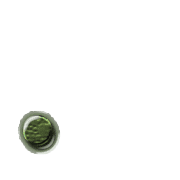 246