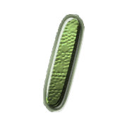 247