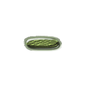 251