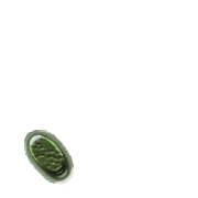256