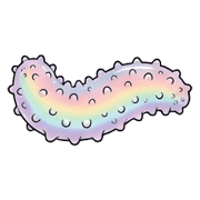 018