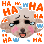 004