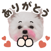 013