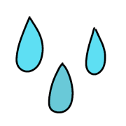020