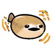 005