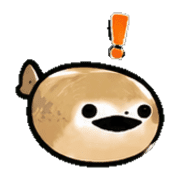 011
