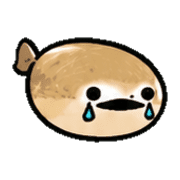 021