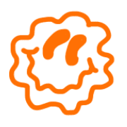 016