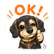 006