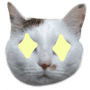 002