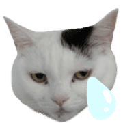 006