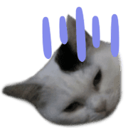 016