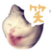 018