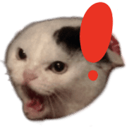 019