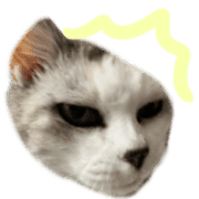 031