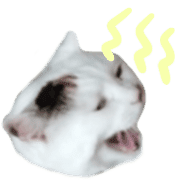 032