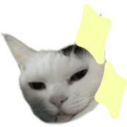 035