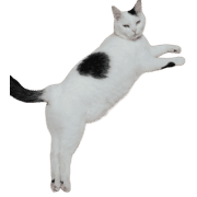 037