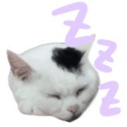 038