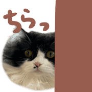 004