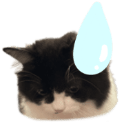 011
