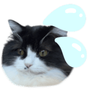 014