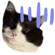 029