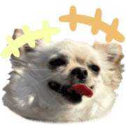 031