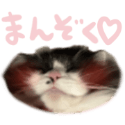033