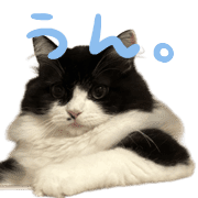 037
