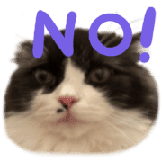 040