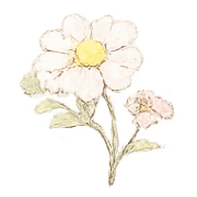 037