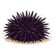 034