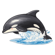 040