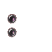 244