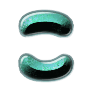 010