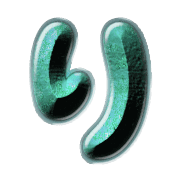 040