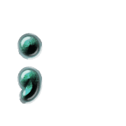 243