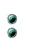 244